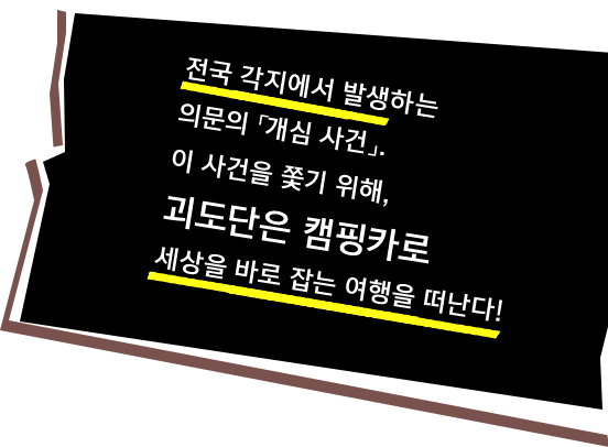 전국 각지에서 발생하는 의문의 「개심 사건」. 이 사건을 쫓기 위해, 괴도단은 캠핑카로 세상을 바로 잡는 여행을 떠난다!